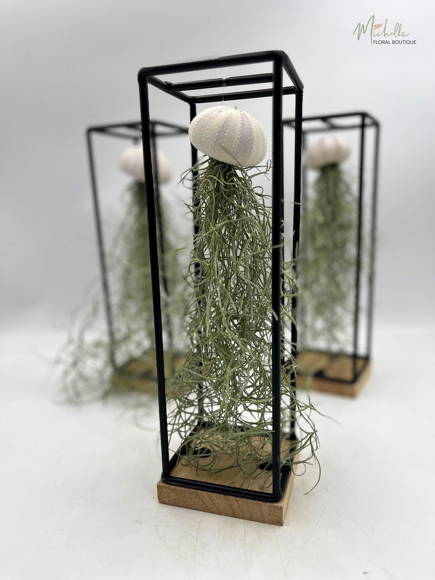 Ornament cu Tillandsia