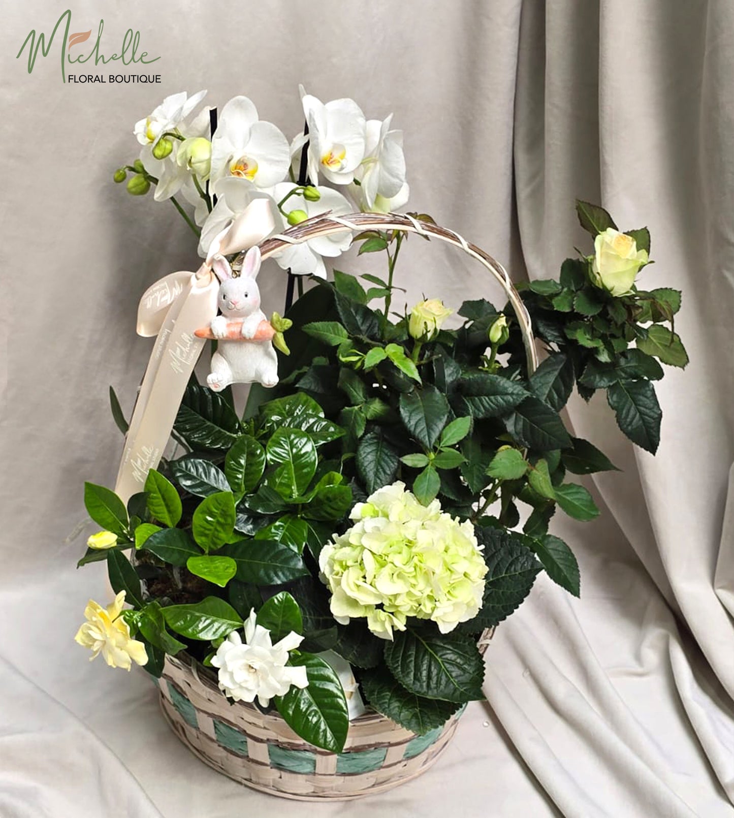Cos cu plante