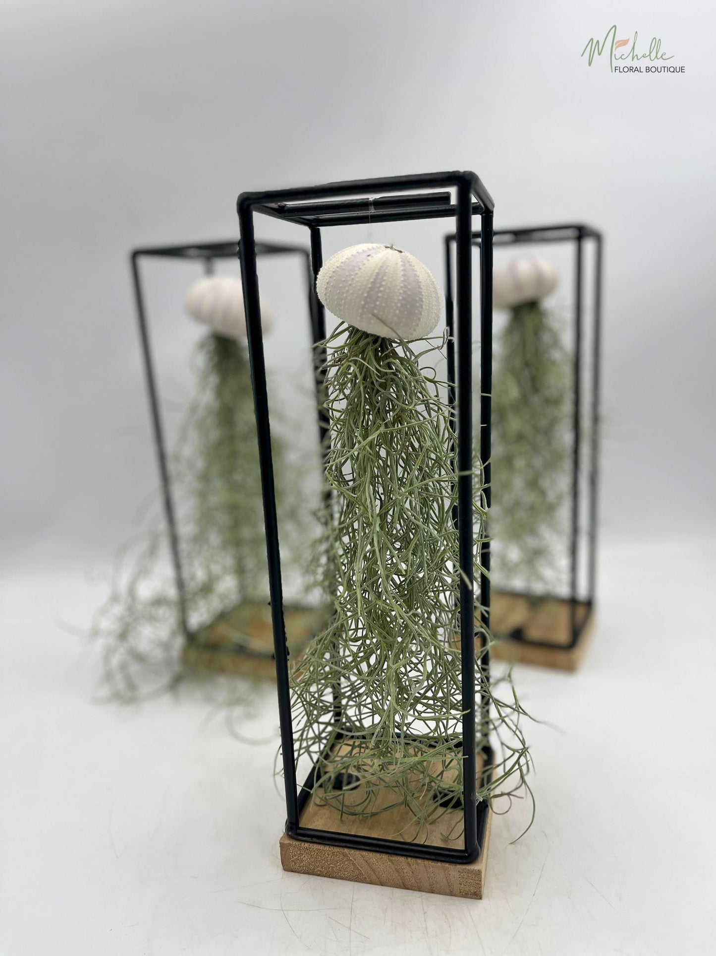 Ornament cu Tillandsia