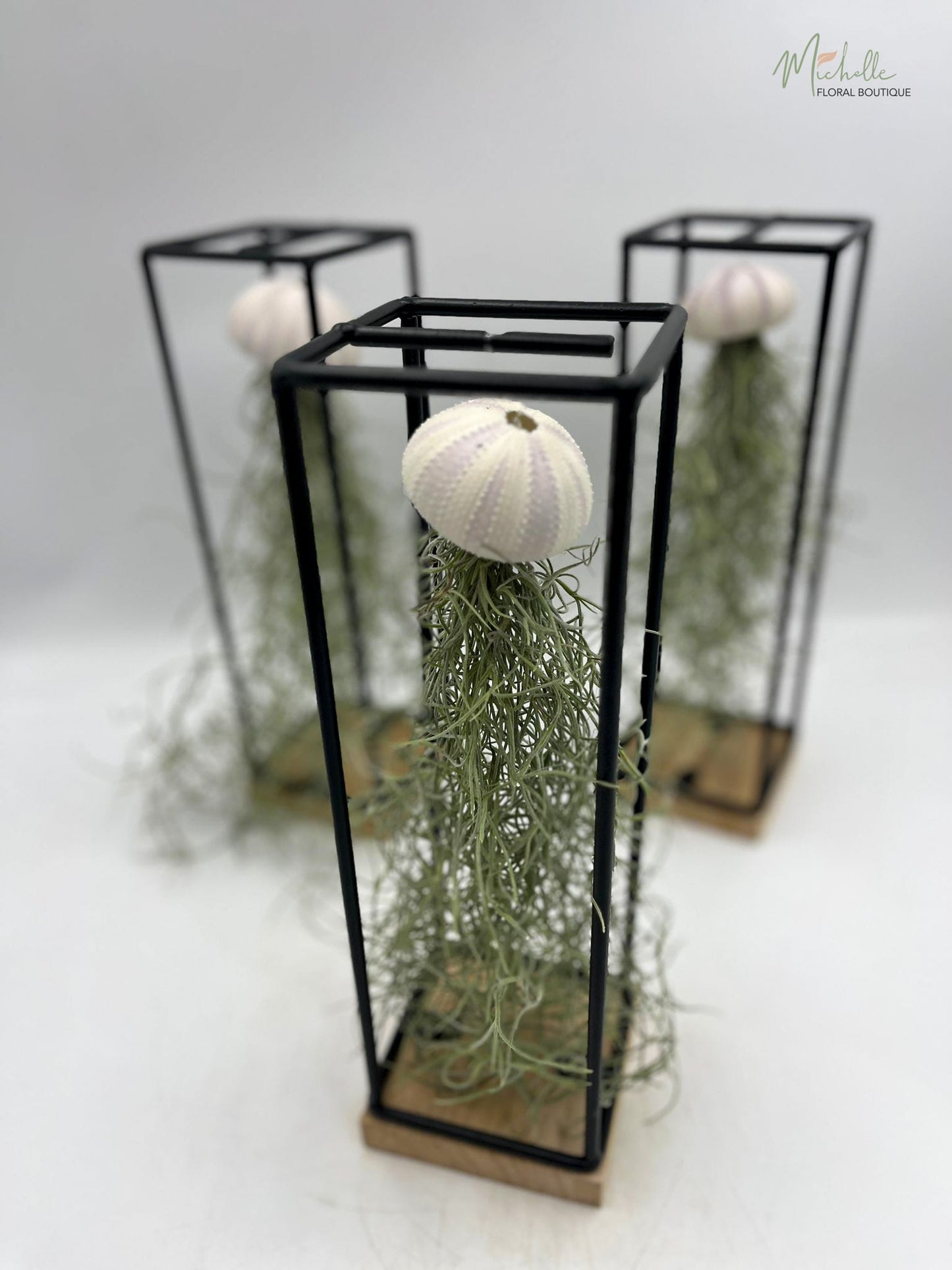 Ornament cu Tillandsia