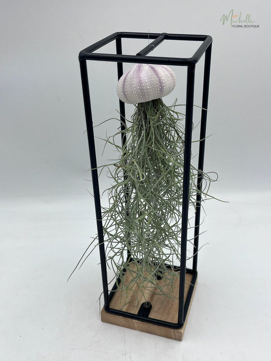 Ornament cu Tillandsia